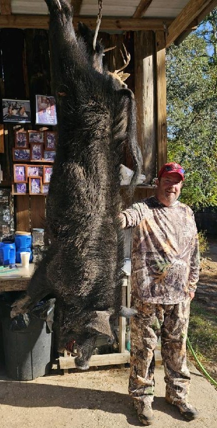 TrophyHogALL2.jpg